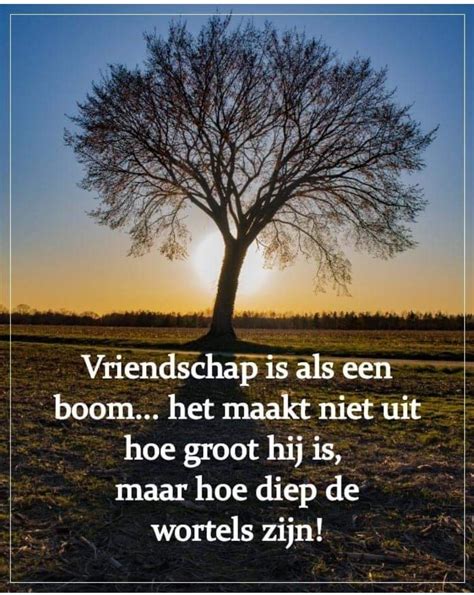 Vriendschap in inspirerende quotes